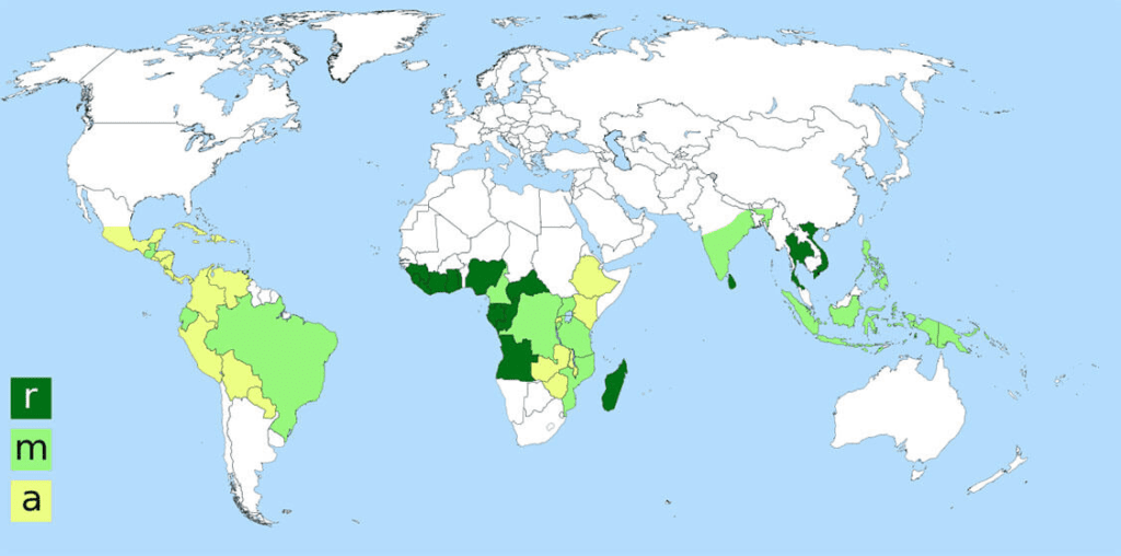 mapa výskytu kávových plantáží ve světě
